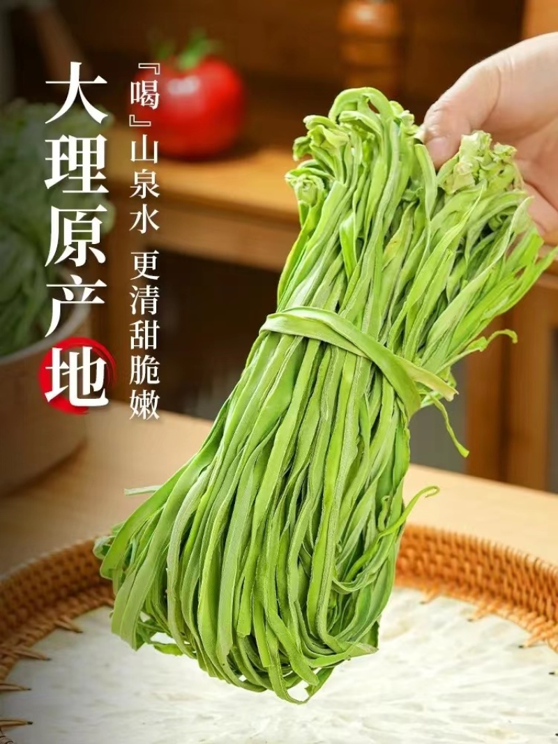 云南大理优质贡菜产地直发货源充足对接各大电商批发商