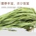 云南大理优质贡菜产地直发货源充足对接各大电商批发商