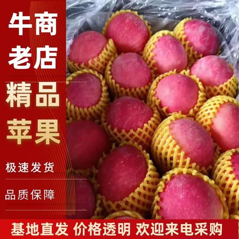 红富士苹果精品苹果产地大量现货口感脆甜保证质量