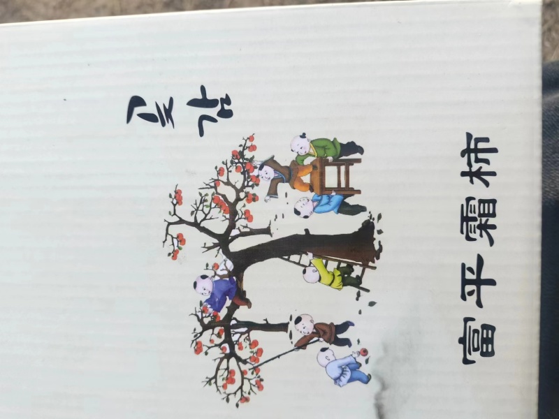 优质富平柿饼产地直发保质保量对接各大平台批发商