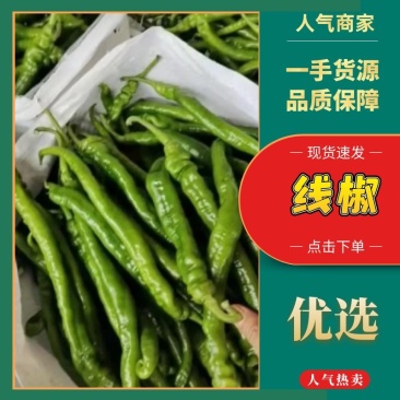 【螺线】诚信经营,质量很好,源头货源,产地直供欢迎来电