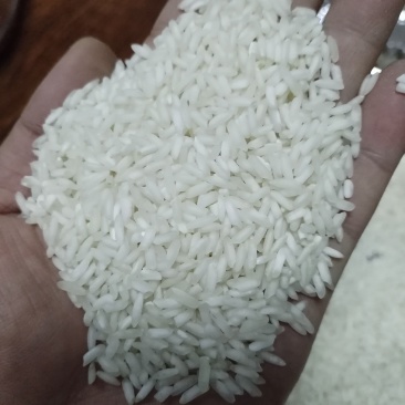 选白米