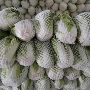 精选大白菜量
