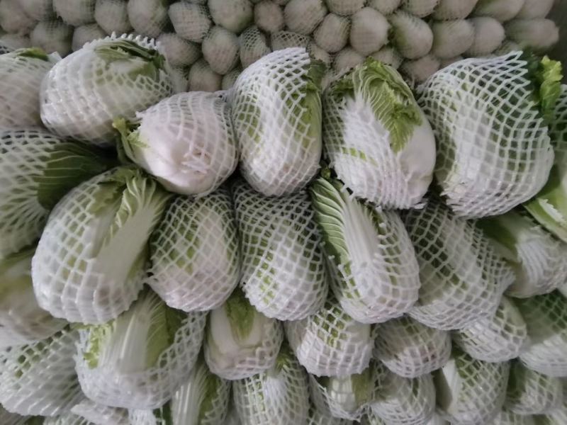 精选大白菜量