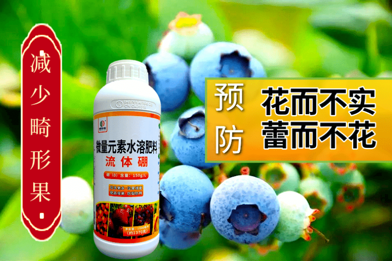 流体硼送磷酸二氢钾促花果花芽分化提高开花坐果率