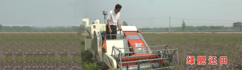 丰谷杂粮红小豆量大从优产地现货供货欢迎来电咨询