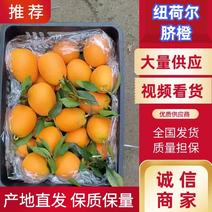 湖北宜昌秭归纽荷尔脐橙新鲜采摘产地直发对接全国市场