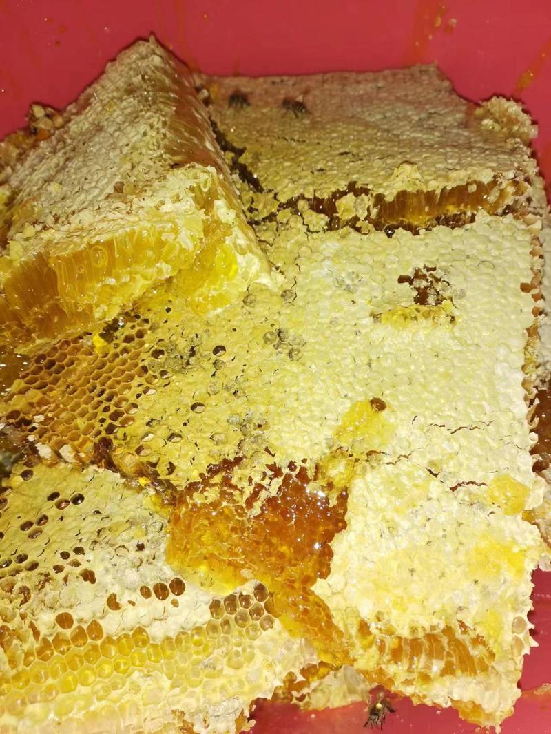 【精品】百花蜜，精品蜂蜜货源充足质量保证价格实惠欢迎选购