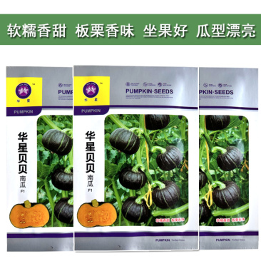 贝贝南瓜种子改良大果坐果好软糯香甜春秋基地品种