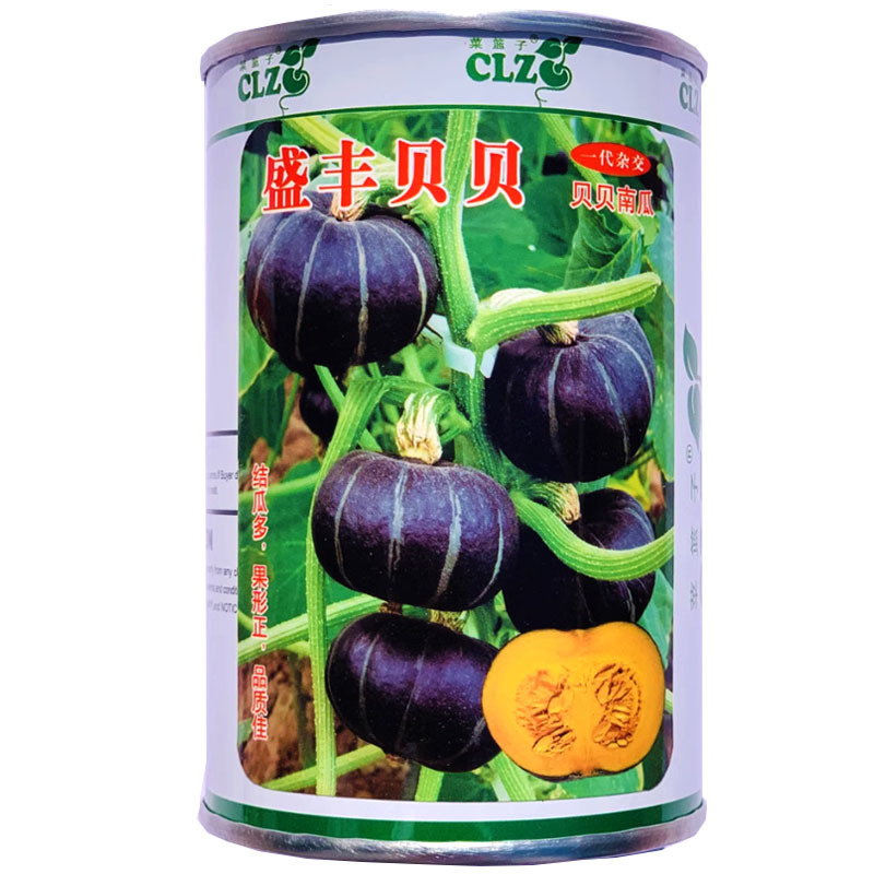 贝贝南瓜种子改良大果坐果好软糯香甜春秋基地品种