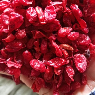 【热卖】山萸肉，产地直发，质量保证，货量充足