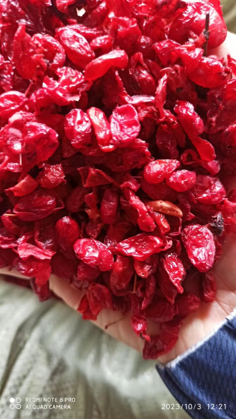 【热卖】山萸肉，产地直发，质量保证，货量充足