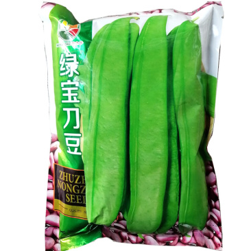 绿宝刀豆种子巨型豆角种籽肉厚质嫩耐高温豆荚刀形翠绿