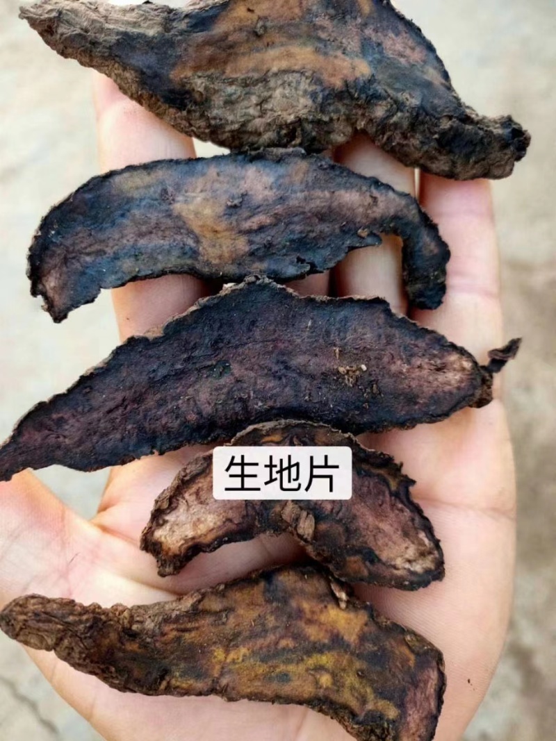 生地黄片生地切片河南焦作产地直发自有基地