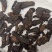 生地黄片生地切片河南焦作产地直发自有基地