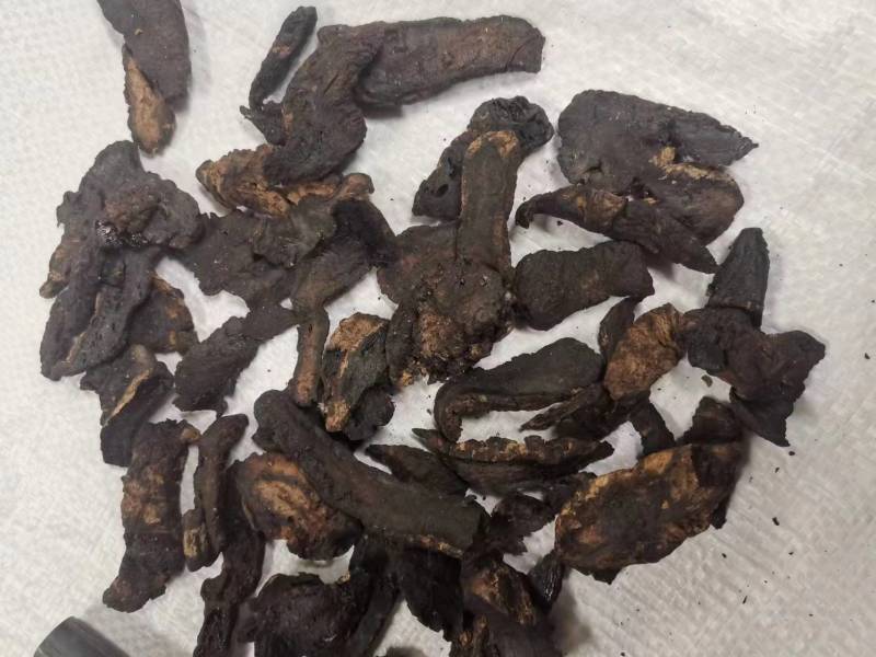 生地黄片生地切片河南焦作产地直发自有基地