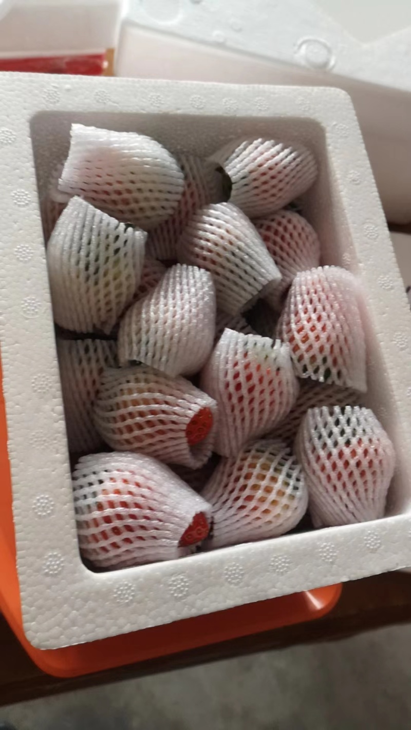 【推荐】长丰红颜草莓口感多汁产地直发货源充足品质保证