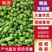 鲜辣椒太空椒产地直发品质保障量大优惠对接商超市场