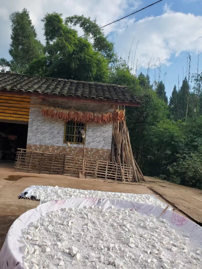 四川优选红薯粉干净无杂质品质好可视频看货价格优惠欢迎咨询