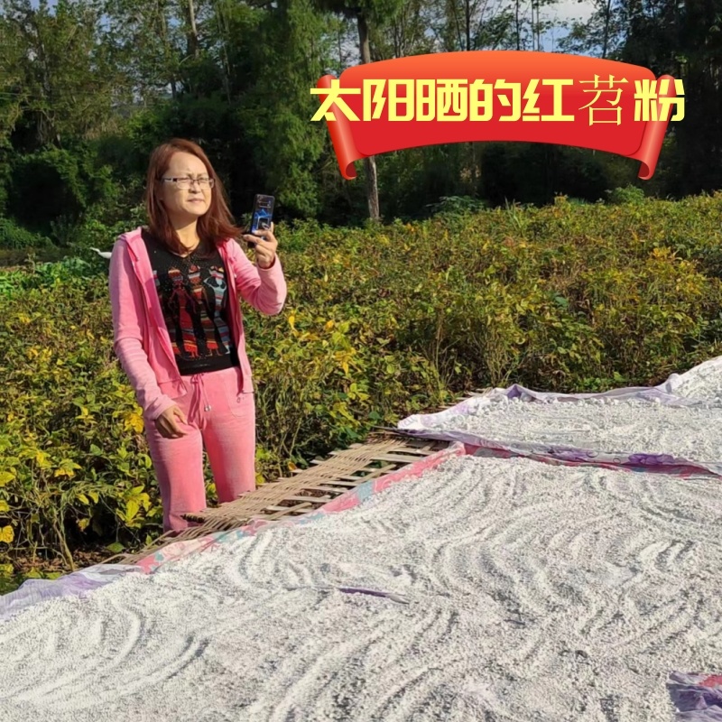 四川优选红薯粉干净无杂质品质好可视频看货价格优惠欢迎咨询