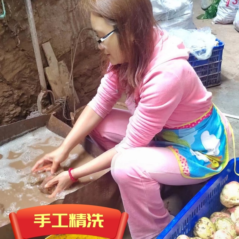四川优选红薯粉干净无杂质品质好可视频看货价格优惠欢迎咨询