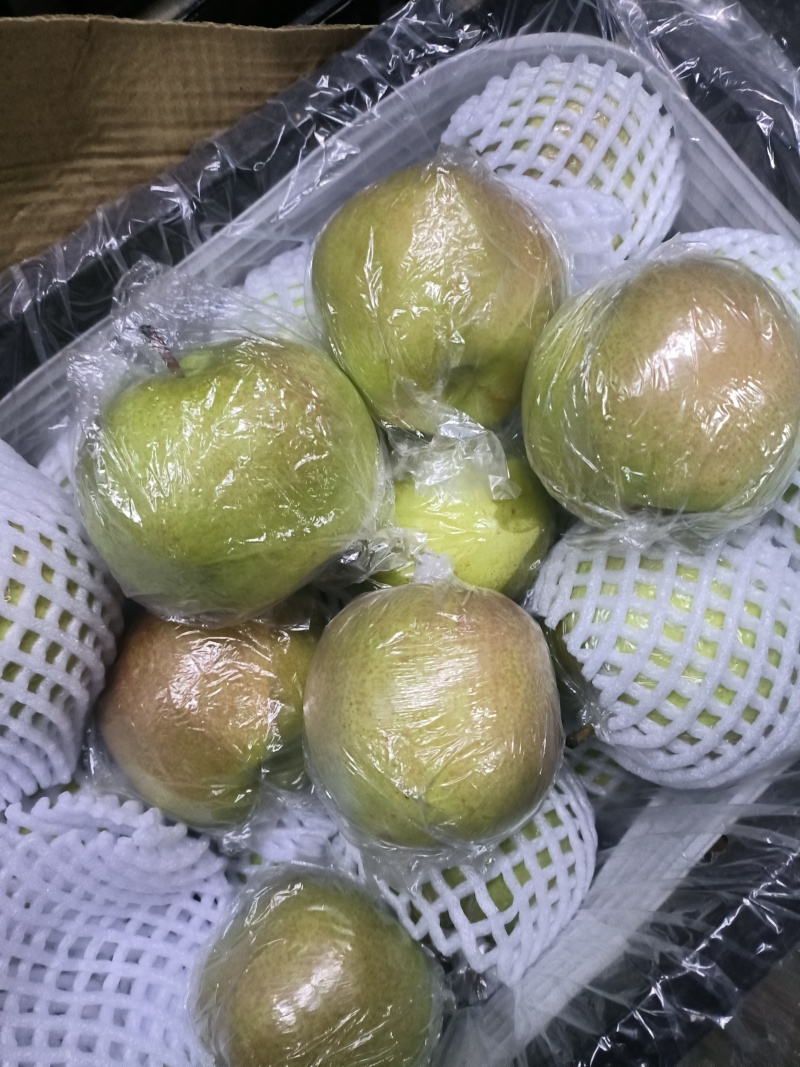 【精品推荐】正宗红香酥梨产地发货一手货源全国批发价低口感脆甜