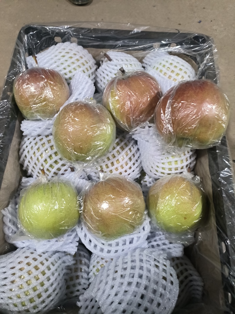 【精品推荐】正宗红香酥梨产地发货一手货源全国批发价低口感脆甜