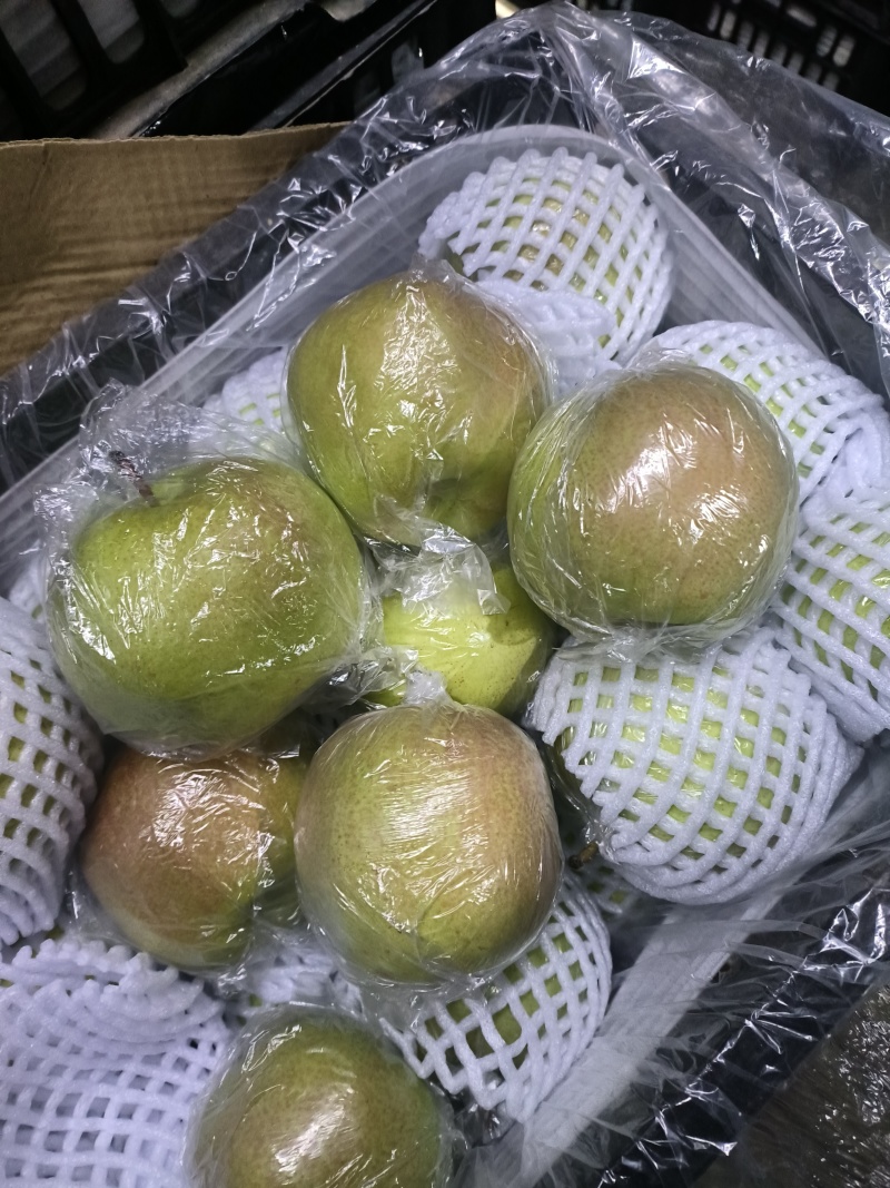 【精品推荐】正宗红香酥梨产地发货一手货源全国批发价低口感脆甜