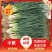 小葱产地直供精品小葱，一手货源无中间商赚差价，货源充足