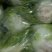 大白菜大量现货量大从优价格优惠欢迎电话联系