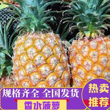 云南河口香水菠萝丶红河屏边菠萝丶新鲜产地直供