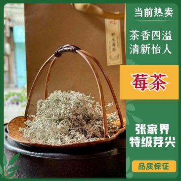 张家界莓茶大量上，产地直供欢迎全国各地老板前来采购！