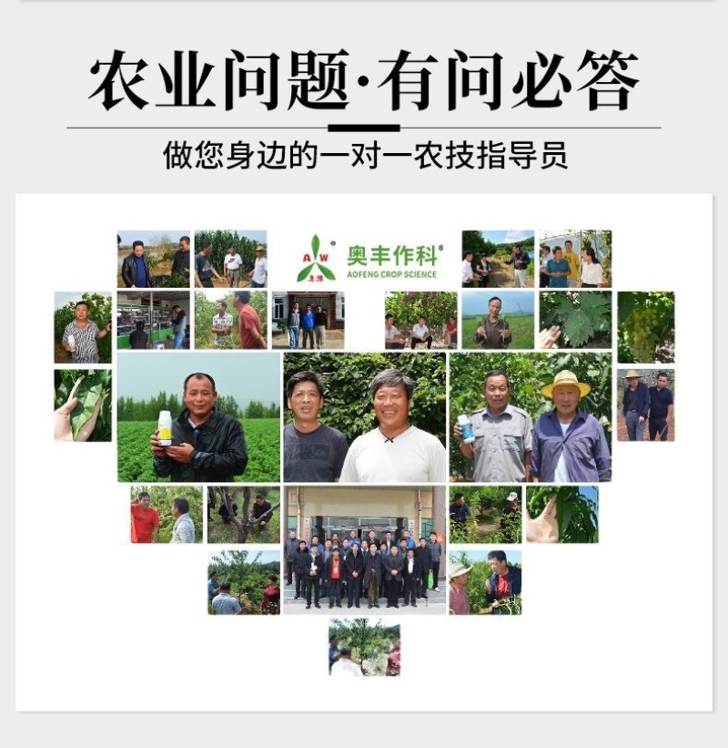 钙镁堡螯合态防裂果增甜增果重增肥膨果防黄叶