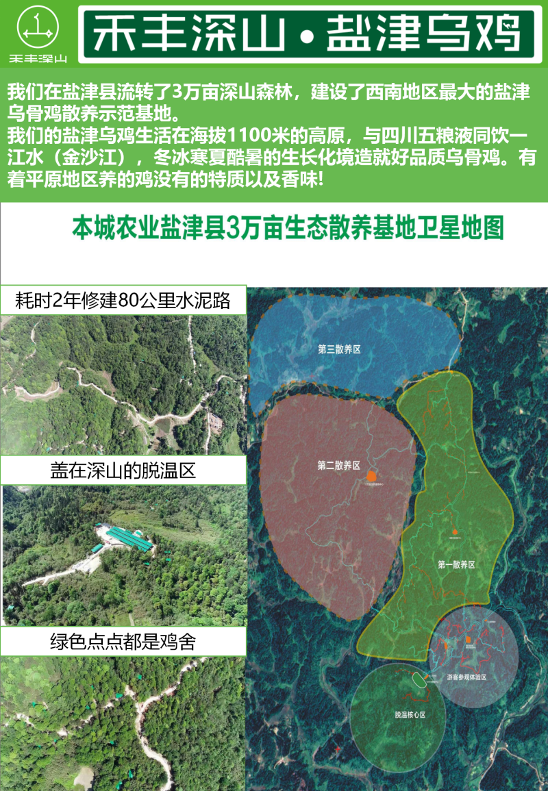 盐津乌骨鸡【散养、深山放养、五黑、跑山、有机认证、地标】