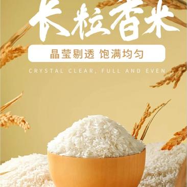 【热】黑龙江五常大米长粒香大米对接市场电商欢迎联系