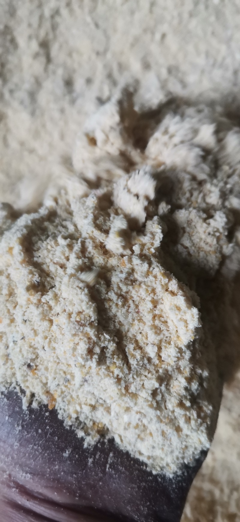 玉米次粉，厂家直销，量大优惠，欢迎大家来电咨询