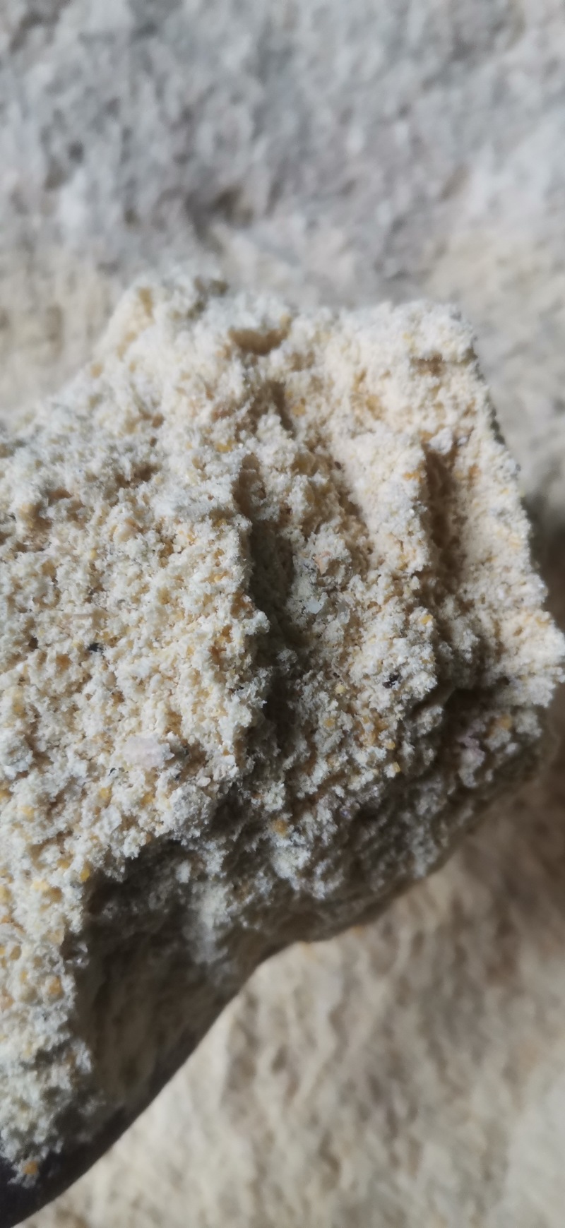 玉米次粉，厂家直销，量大优惠，欢迎大家来电咨询