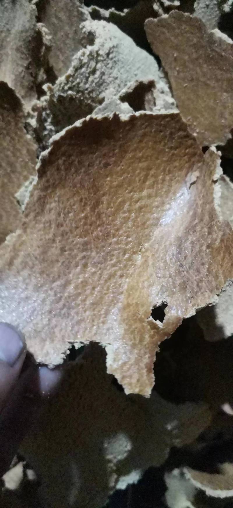 豆饼纯东北豆饼，厂家直销，量大优惠，欢迎大家来电咨询