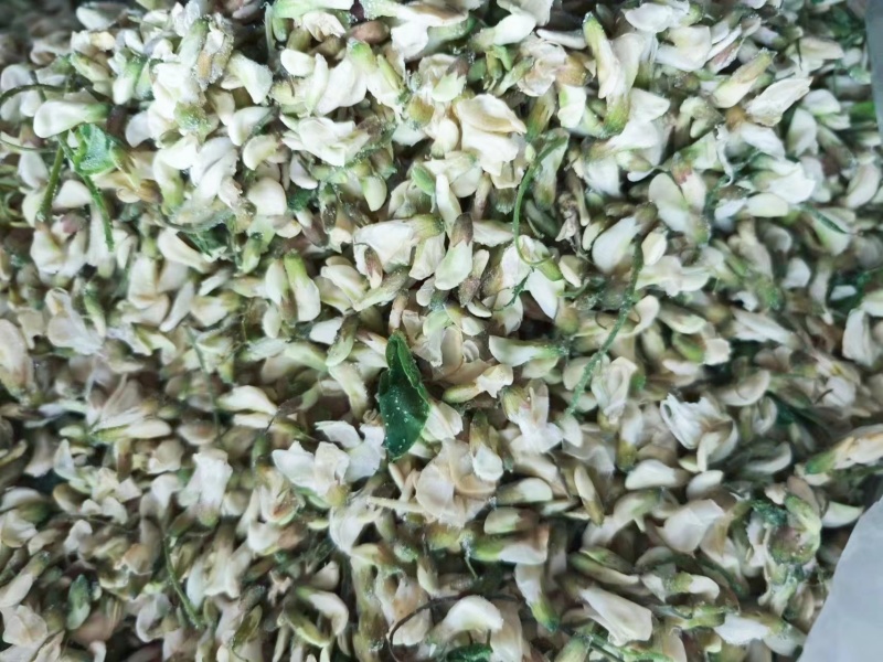 新鲜槐花【槐花】大量供应质量保证货源充足欢迎订购