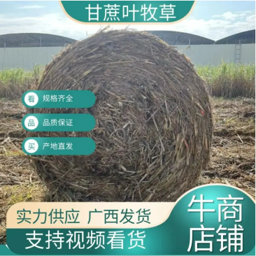 干草饲料甘蔗叶适用于牛羊马草料货源充足欢迎采购