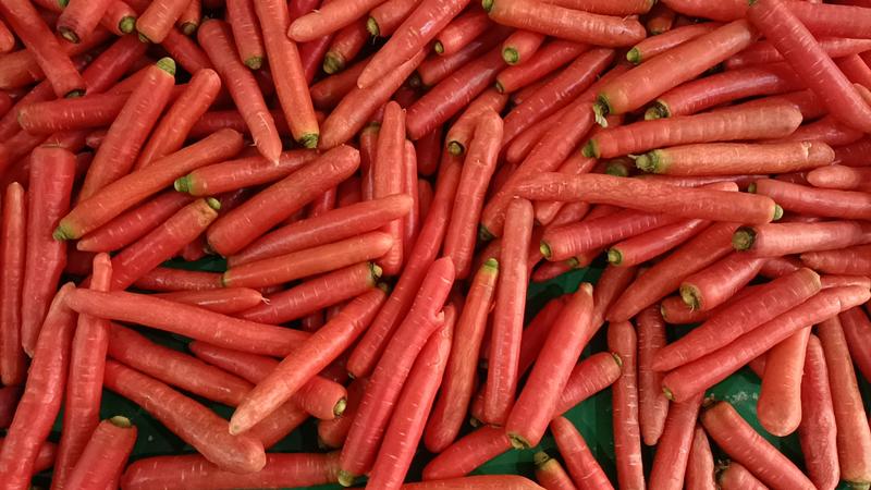 精选秤杆胡萝卜大量现货产地直发质量保证供应全国