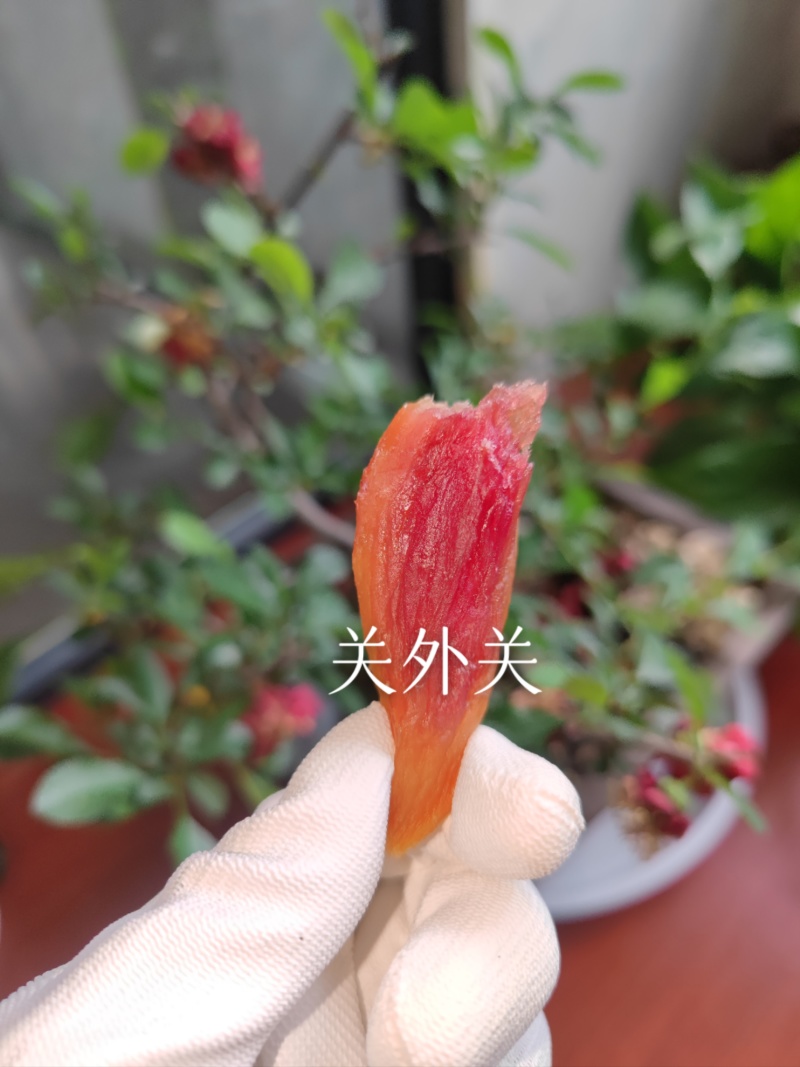 冰淇淋蜜薯干诚信经营产地直发支持零售批发
