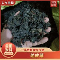 地皮菜河南南阳地皮菜特色菜量大价优批发供应