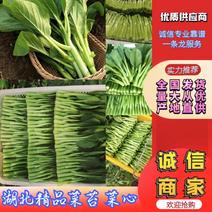 推荐菜台广东油菜芯产地直供量大从优供全国电商超市