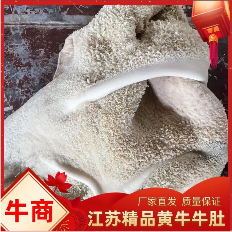 黄牛牛肚！江苏连云港厂家直发量大从优欢迎电联采购