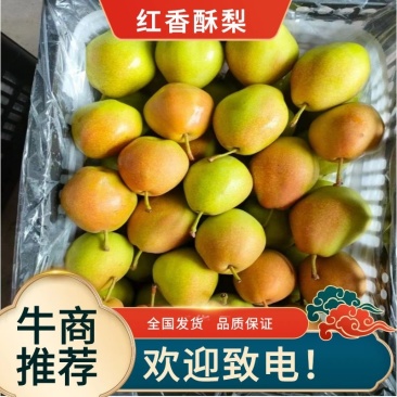 【精品】优质供货电商，红香酥梨质优价廉产地直发