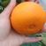 精选爱媛橙38大量现货货源充足保质保量供应全国市场