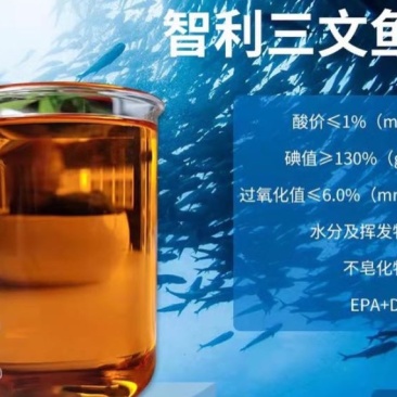智利精练三文鱼油:适用禽畜水产饲料增腥诱食性强与工业用油