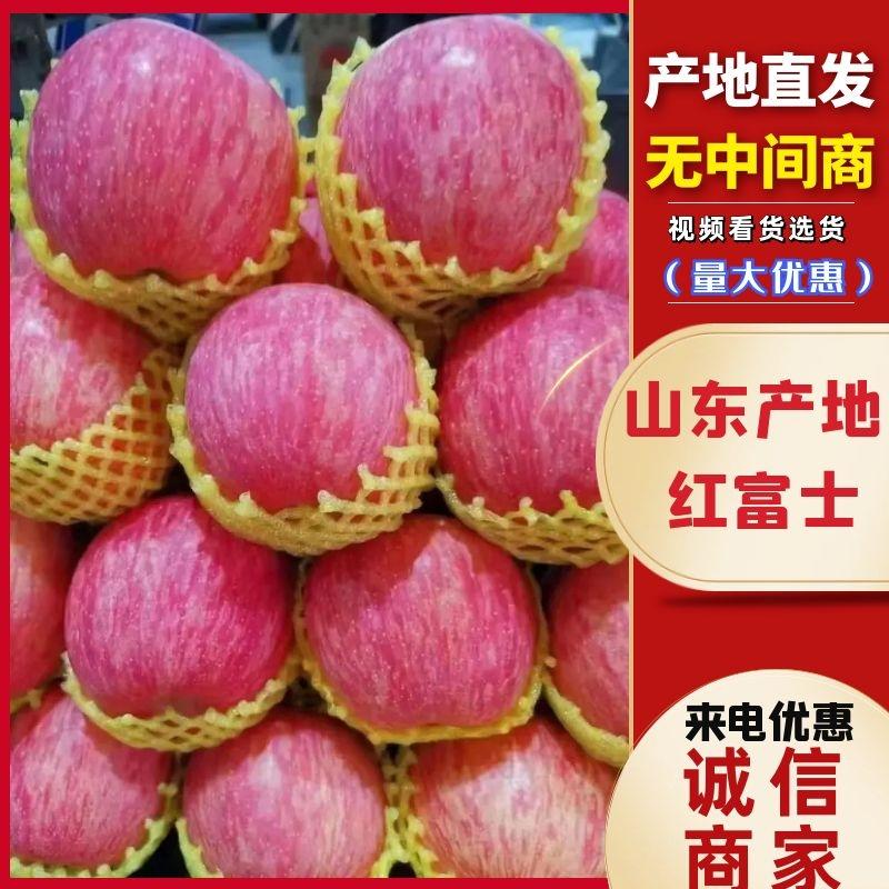 精品红富士苹果，山东红富士，皮薄脆甜量大果型好价格低