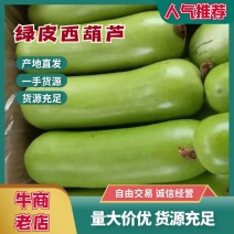 云南绿皮西葫芦1斤左右，供应电商，批发市场